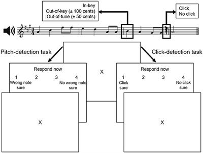 Neurophysiological and <mark class="highlighted">Behavioral Differences</mark> between Older and Younger Adults When Processing Violations of Tonal Structure in Music